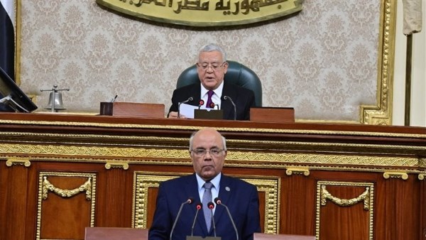 النائب محمد الفيومي