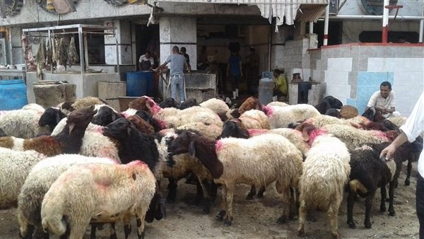 صورة أرشيفية  