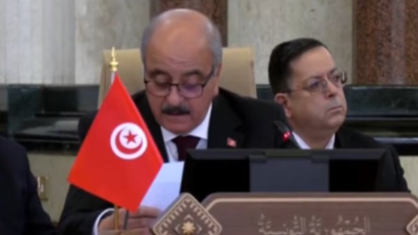 وزير الشئون الخارجية التونسية 