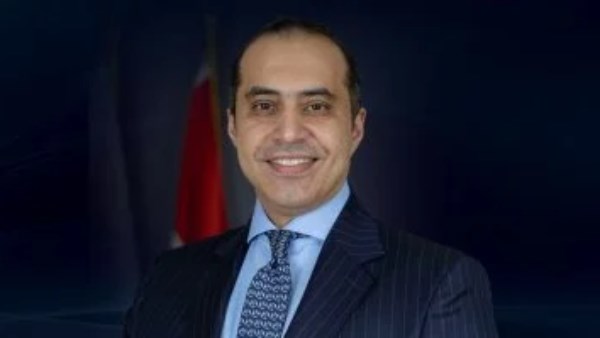المستشار محمود فوزي، وزير الشؤون النيابية 