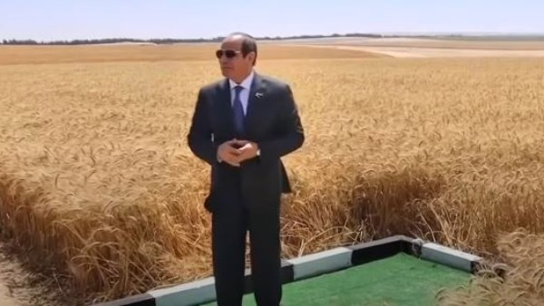 فعاليات موسم حصاد القمح 2025