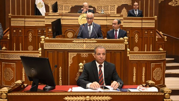 مجلس الشيوخ