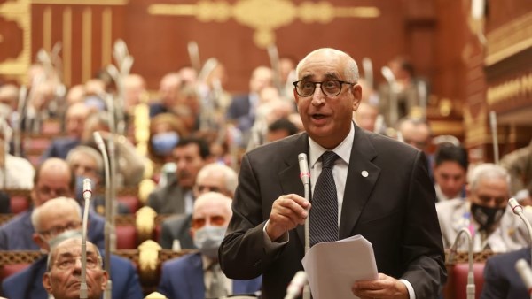 عضو بالشيوخ: أمن الدول معرض للخطر في ظل تفاقم عمليات القرصنة