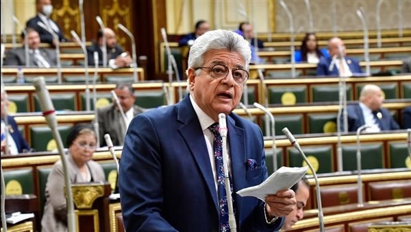  النائب هاني أباظة عضو مجلس النواب
