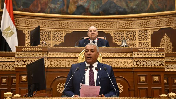 النائب علاء الدين محمد جاد، عضو مجلس الشيوخ