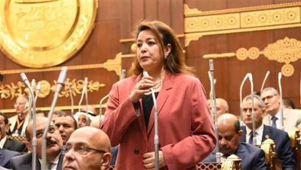 النائبة الدكتورة سماء سليمان وكيل لجنة الشؤون الخارجية والعربية والأفريقية بمجلس الشيوخ