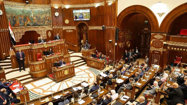 برلماني يطالب بزيادة حجم الاستثمارات الزراعية فى خطة التنمية الاقتصادية