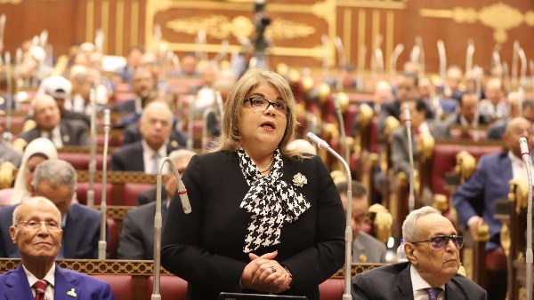 فيبي فوزي: خطة التنمية للعام المالي المقبل تستجيب للتحديات العالمية وتدعم القطاع الخاص