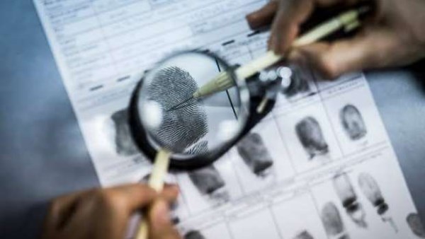احذر.. السجن عقوبة تزوير قرار صادر من الحكومة طبقا للقانون