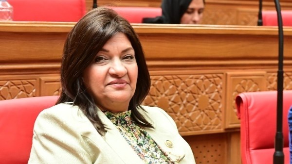  النائبة ايفلين متى ، عضو لجنة الصناعة بمجلس النواب