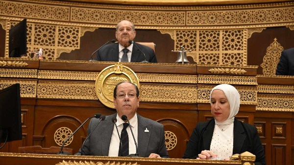 مجلس الشيوخ