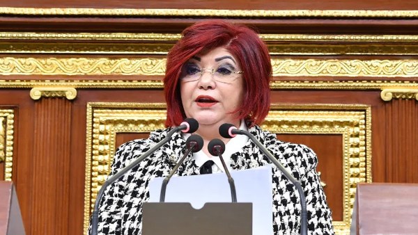  النائبة نورا علي، رئيس لجنة السياحة والطيران المدني