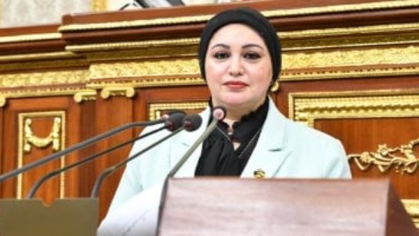  النائبة سولاف درويش وكيل لجنة القوى العاملة بمجلس النواب
