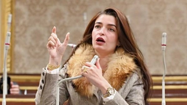 إيرين سعيد، عضو لجنة الصحة بمجلس النواب 