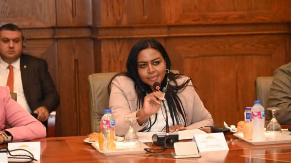 نيفين حمدي، عضو لجنة الشئون الافريقية بمجلس النواب 