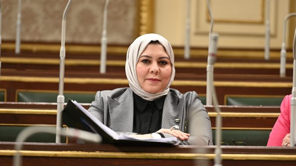 برلمانية: تعديل قوانين الانتخابات تضمن التمثيل النيابي العادل لكافة المواطنين