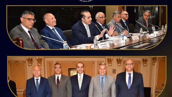 وزير الشئون النيابية 