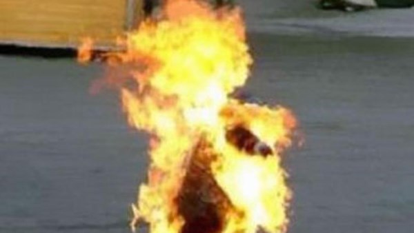 صورة موضوعية
