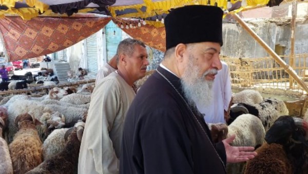 صورة موضوعية 
