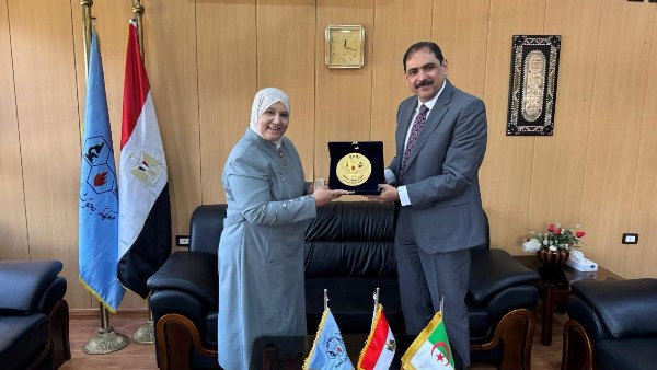بحوث البترول