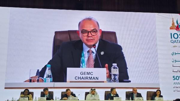 الدكتور محمد فريد رئيس الهيئة العامة للرقابة المالية