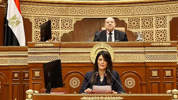 المشاط: 14.5 مليار دولار تمويلات تنموية ميسرة للقطاع الخاص في 5 سنوات