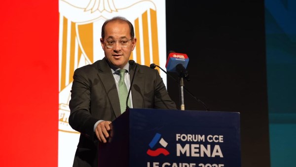وزير المالية
