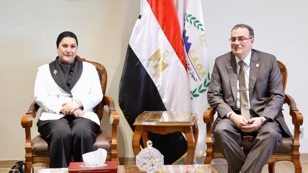 التنظيم والإدارة