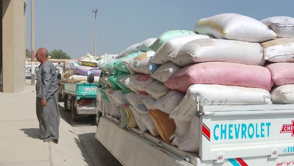 توريد القمح 
