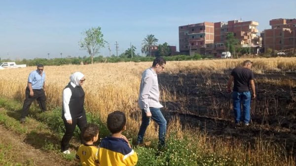حريق حقل قمح في المنوفية .. صور