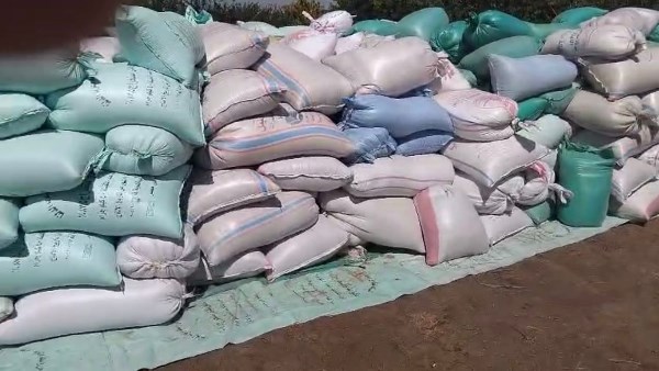 محافظ المنوفية: مباحث التموين تضبط 50 طن قمح بمخزن حبوب غير مرخص بالباجور