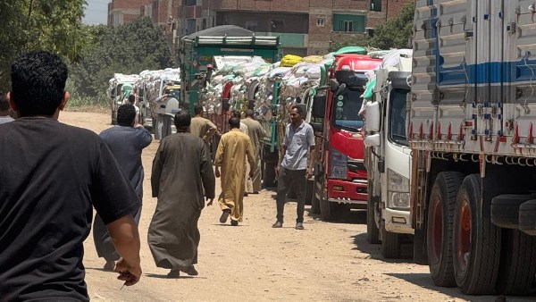 توريد القمح 
