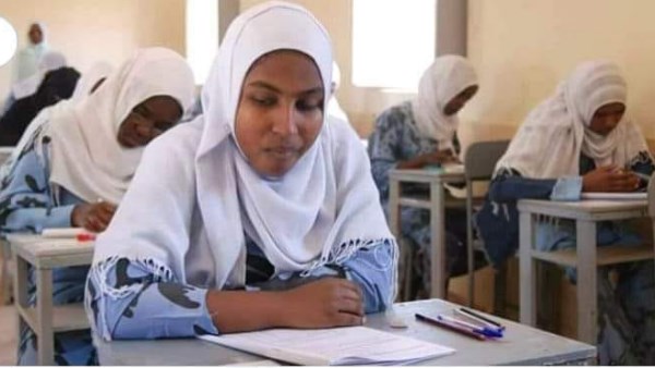 ظهرت الآن.. رابط فوري نتيجة الشهادة السودانية برقم الجلوس