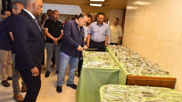 محافظ اسيوط في جولة ميدانية