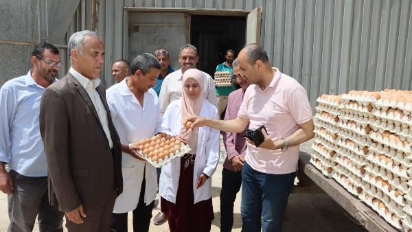 سكرتير عام بني سويف
