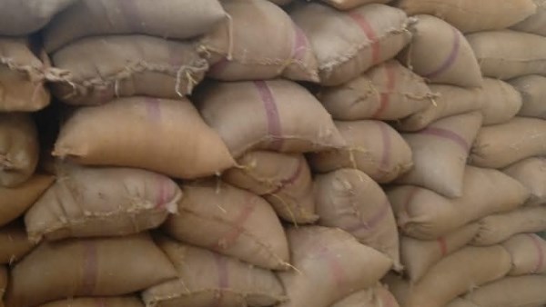 محافظ المنيا يعلن استلام 100 ألف طن قمح.. ويؤكد: جهود مكثفة لتأمين الأمن الغذائي
