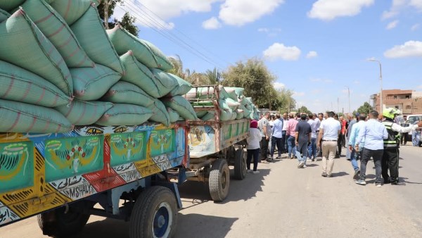 محافظ المنيا تورد 120 ألف طن من القمح بالشون والصوامع