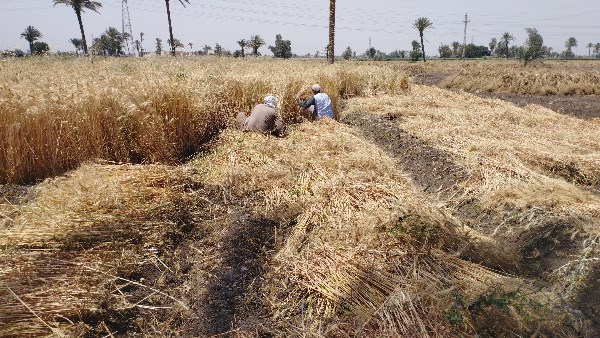 السيطرة على الحريق 