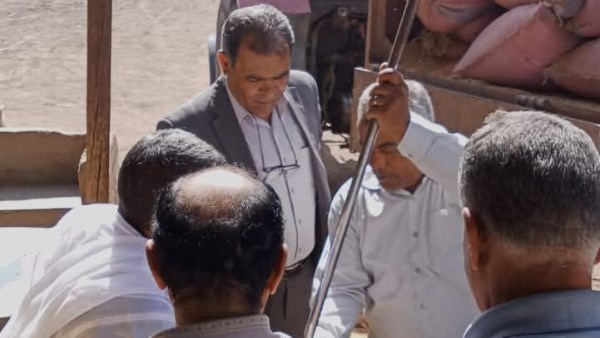 توريد محصول القمح 