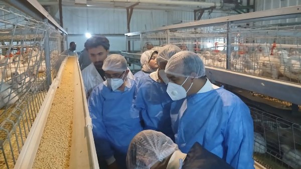 نائب محافظ المنيا: نسعى لتحقيق الاكتفاء الذاتي وتعزيز الأمن الغذائي