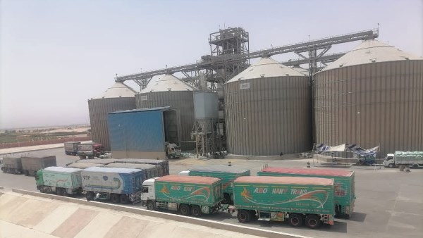 محافظ المنيا: توريد 450 ألف طن قمح للصوامع والشون