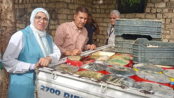 ضبط 1.5طن أسماك مملحة ودواجن وكبدة ومصنعات غير صالحة بالمنيا