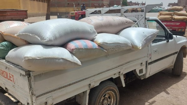ضبط 6 اطنان قمح بها سوس 