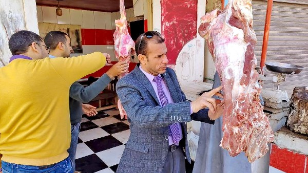 جانب من حملات الطب البيطري في سوهاج