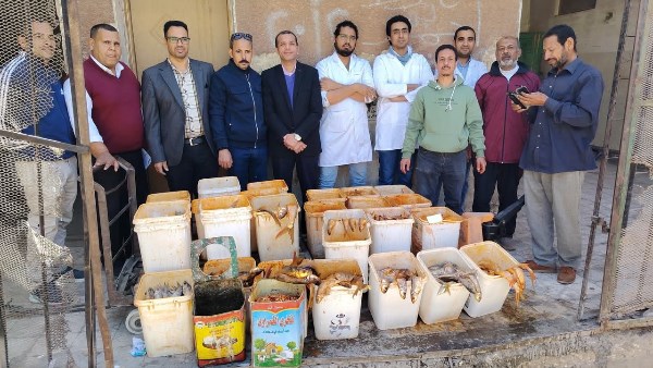 ضبط 755 كيلو ملوحة غير صالحة للاستهلاك الآدمي في سوهاج