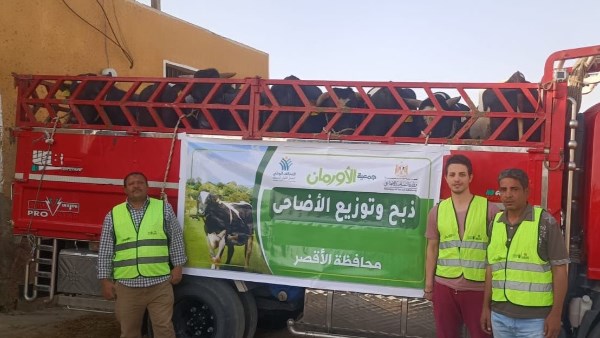 توزيع 50 ألف كيلو لحوم أضاحي و75 عجل للأسر الأولى بالرعاية في الأقصر