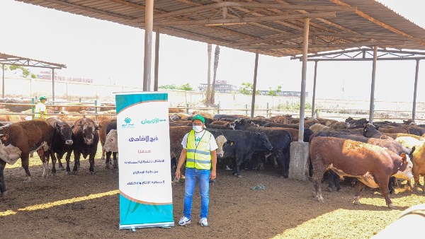 بالتعاون مع التضامن الاجتماعي بالأقصر.. وضع خطة لاستقبال عيد الأضحى
