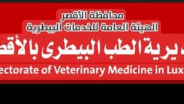 بيطرى الأقصر يرفع درجة الاستعداد القصوى لاستقبال عيد الأضحى