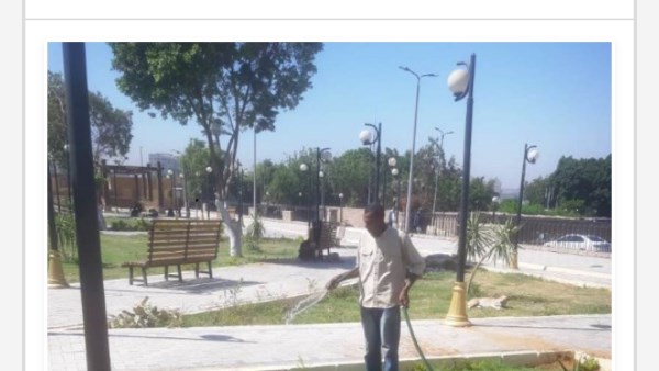 جهود محافظة أسوان 