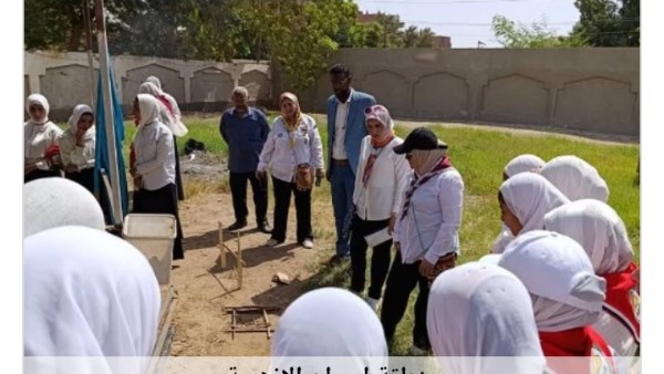 جهود محافظة أسوان 